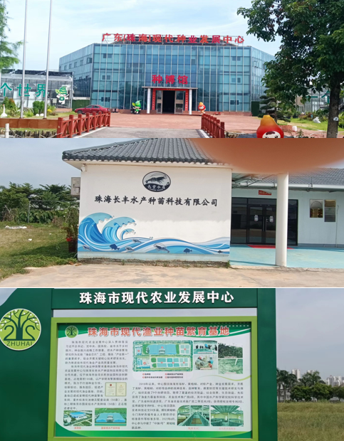 成功案例